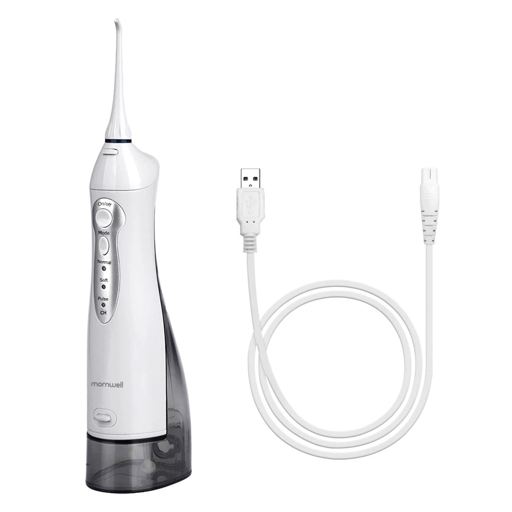 Oral Irrigator, Scaling Artifact, Electric Flushing Device